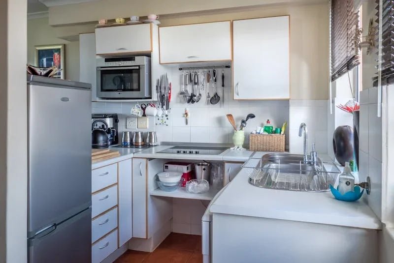 Must-Have Kitchen Appliances for the Perfect Home Chef - Tenko Co., Ltd.